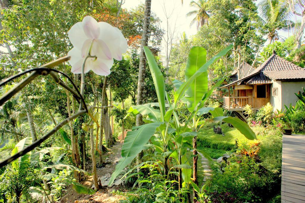 Prashanti Bali อูบุด ภายนอก รูปภาพ