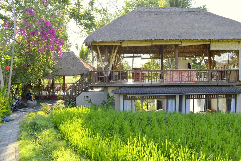 Prashanti Bali อูบุด ภายนอก รูปภาพ