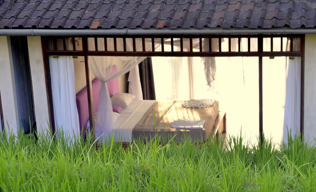 Prashanti Bali อูบุด ห้อง รูปภาพ