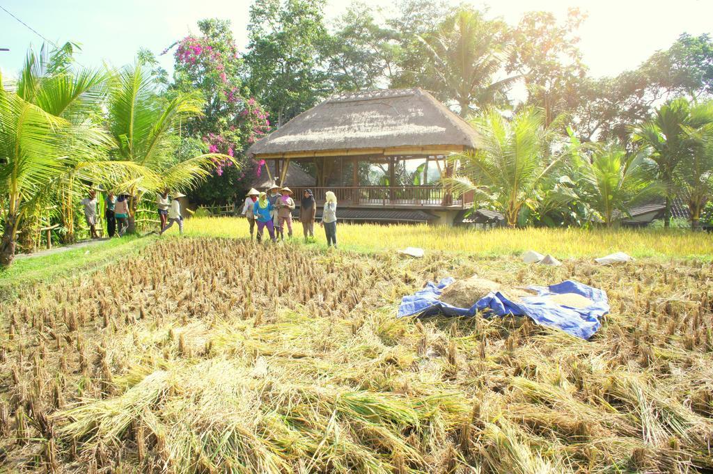 Prashanti Bali อูบุด ภายนอก รูปภาพ
