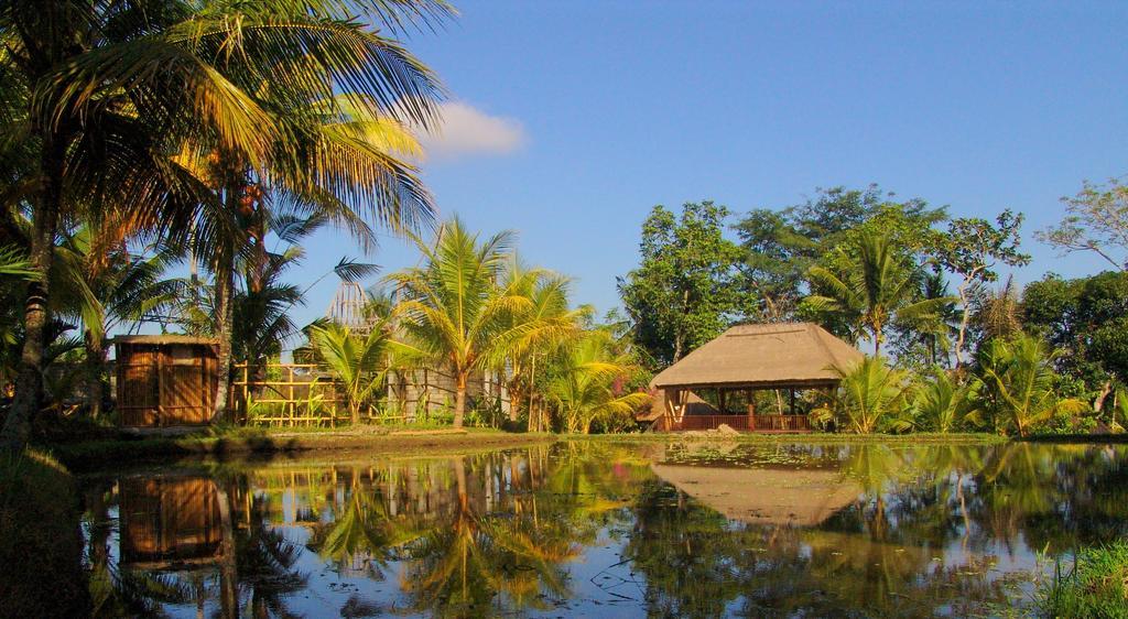 Prashanti Bali อูบุด ภายนอก รูปภาพ