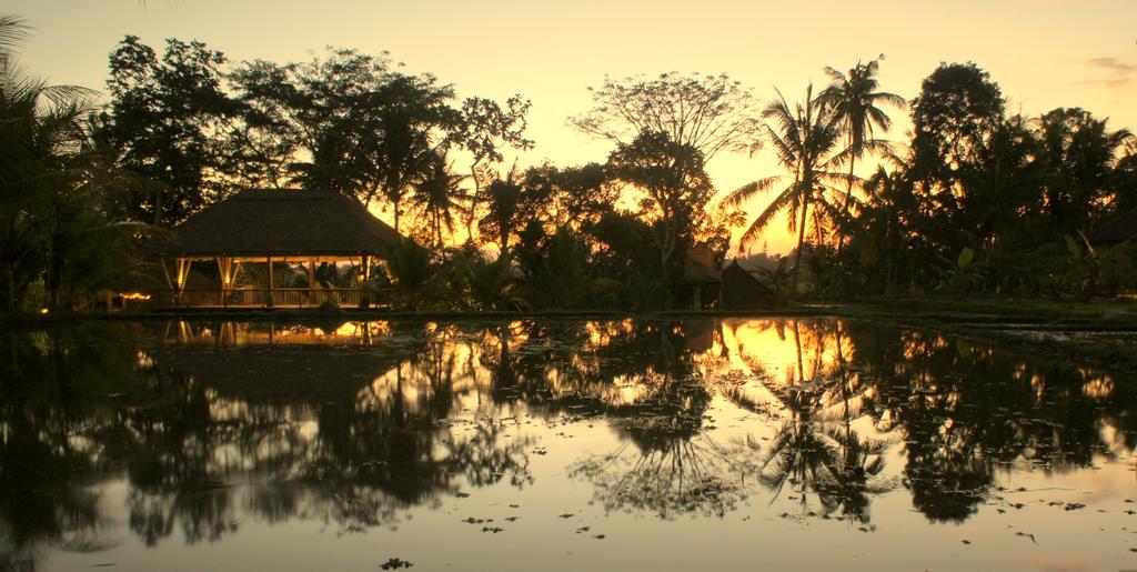 Prashanti Bali อูบุด ภายนอก รูปภาพ
