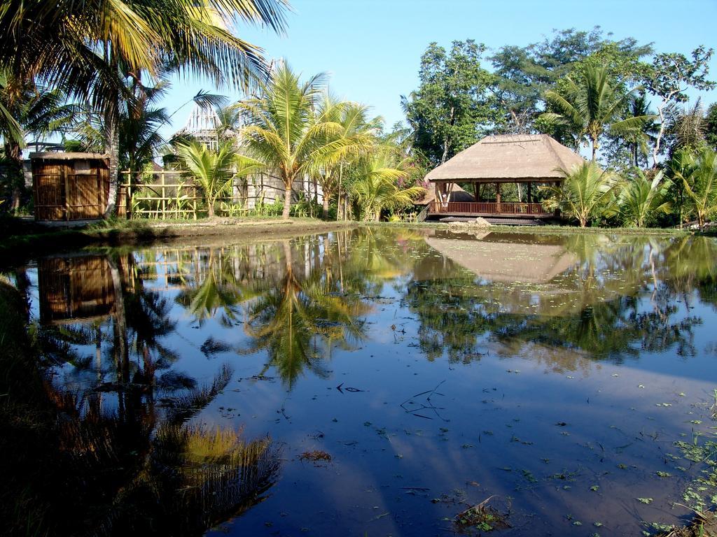 Prashanti Bali อูบุด ภายนอก รูปภาพ